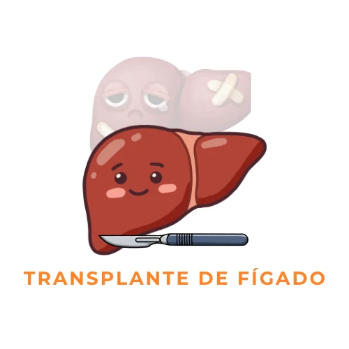 Transplante de Fígado